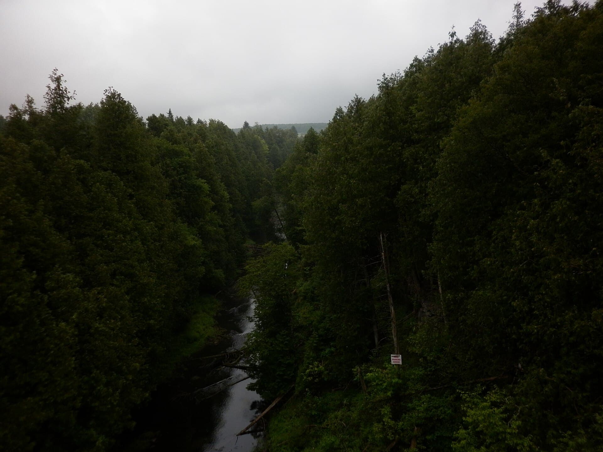 Wooded valley at Feversham, Ontario